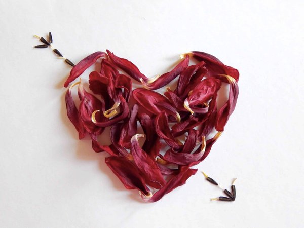 L'importance de la célébration de la fête des mères