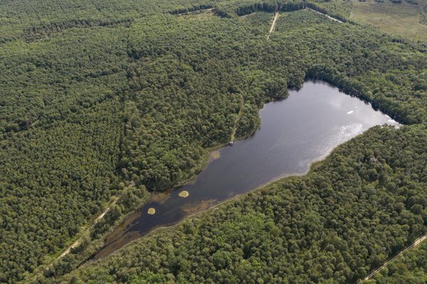 Comment réaliser un étang de jardin écologique et autonettoyant ?