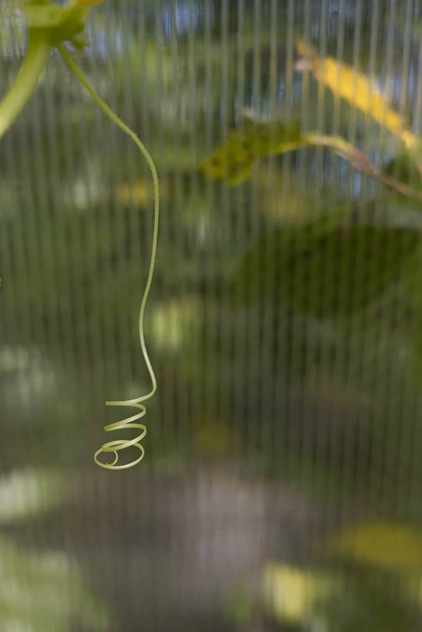 Comment adapter votre déménagement à un handicap visuel ou auditif ?