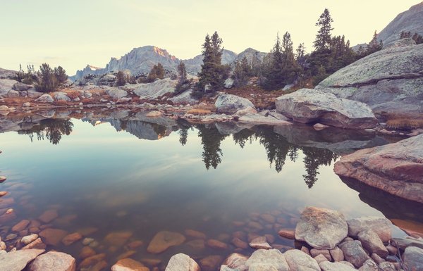 Comment créer un espace de rangement pour vélos sécurisé et discret dans un petit jardin ?