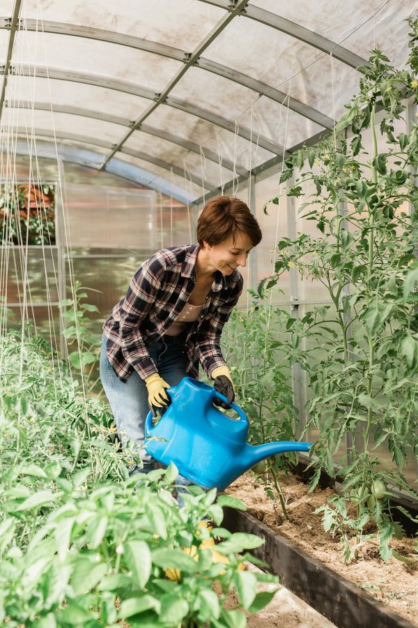 Le carré potager géotextile : une innovation écologique